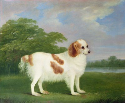Spaniel in einer Landschaft, 1789 von John Nott Sartorius